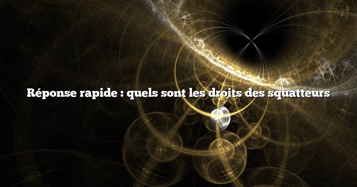 Réponse rapide : quels sont les droits des squatteurs
